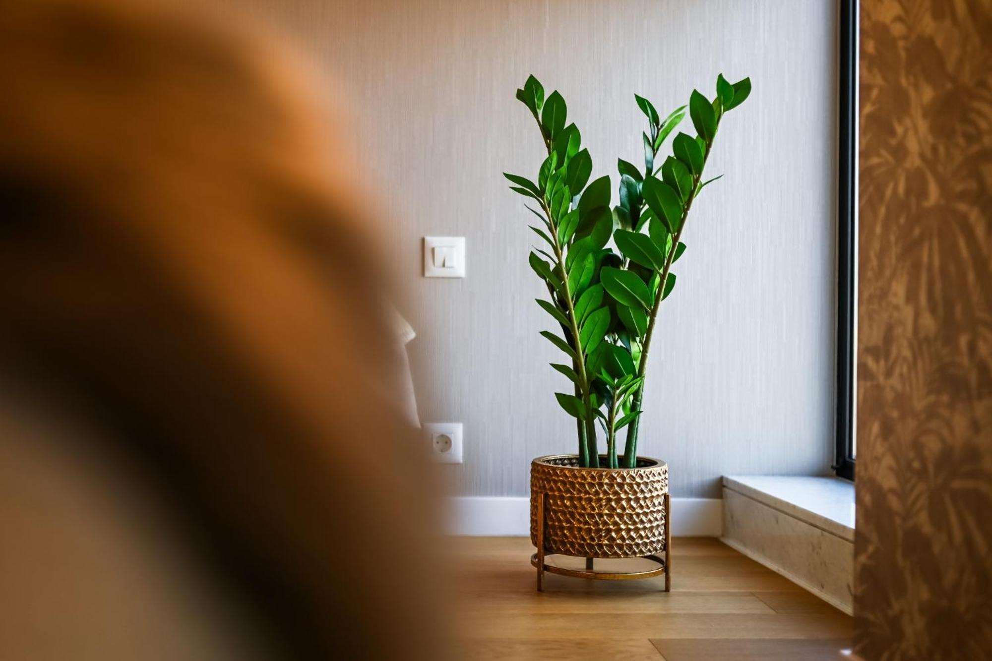 One Verdi Park Exclusive Apartments - Panoramic View & Private Parking Bucureşti Cameră foto